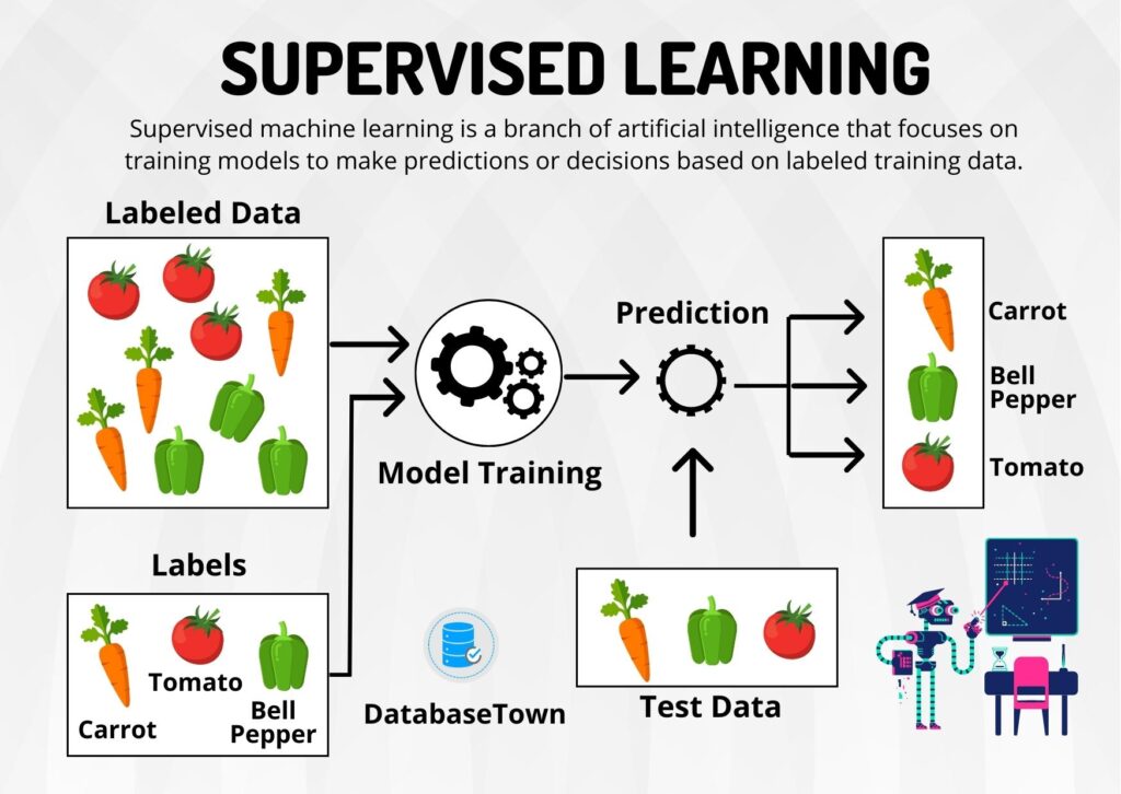 Supervised Learning: Algorithms, Examples, and How It Works - DatabaseTown